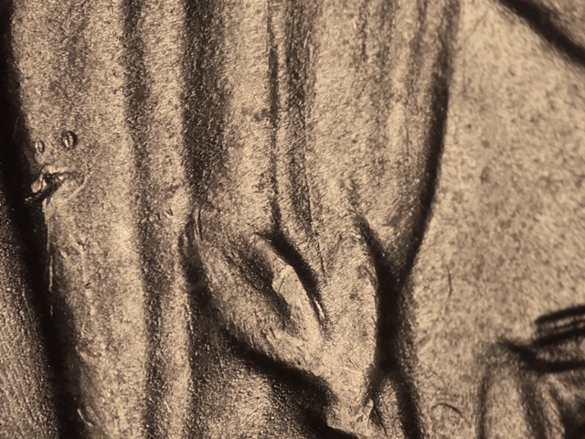 53d25ccrom1_5_.jpeg 53d25ccrom1_5_.jpeg