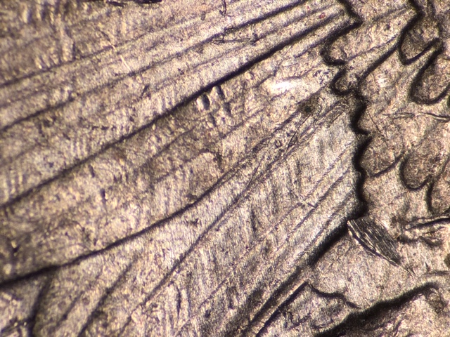 15p25clacrdr3_2_.jpeg 15p25clacrdr3_2_.jpeg