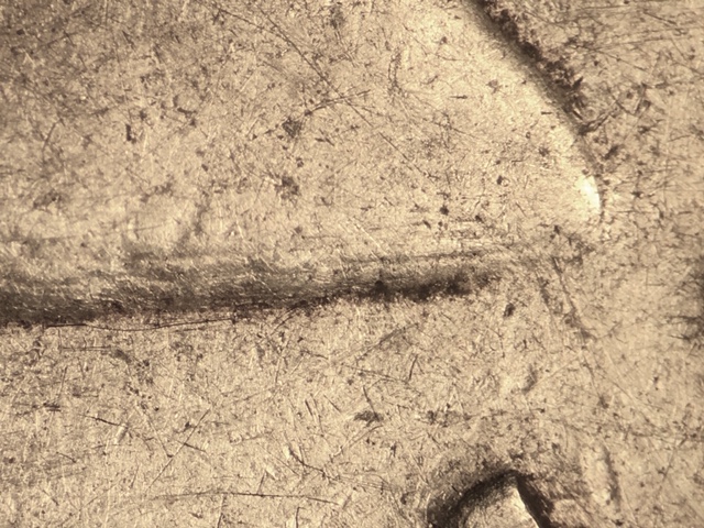 5150ccrdr1_5_.jpeg 5150ccrdr1_5_.jpeg