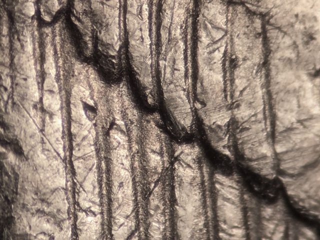 14p25cflcrdr1_1_.jpeg 14p25cflcrdr1_1_.jpeg