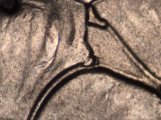 15p25cnccrdr5_4_.jpeg 15p25cnccrdr5_4_.jpeg