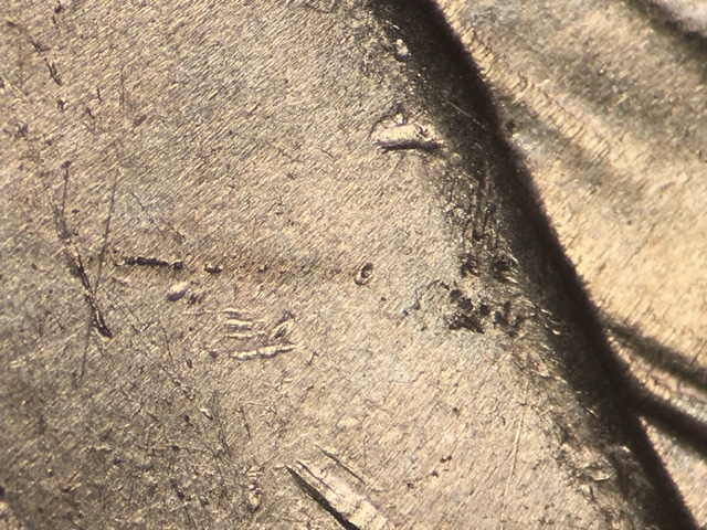 12p5ccrdo1_4_.jpeg 12p5ccrdo1_4_.jpeg