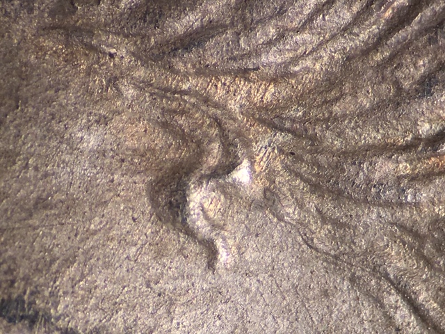 1879ss1crrd1_11_.jpeg 1879ss1crrd1_11_.jpeg