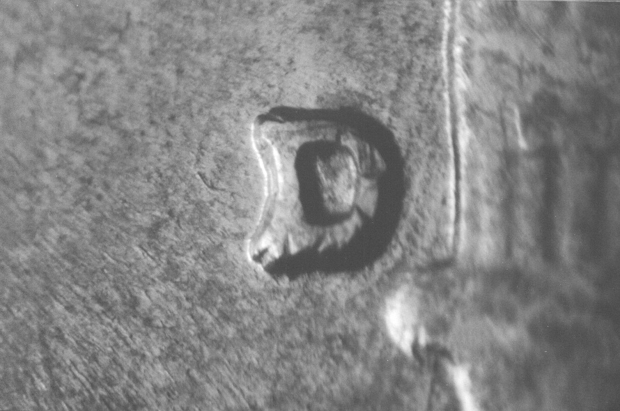 rd61dwrpm-001-01.jpg rd61dwrpm-001-01.jpg