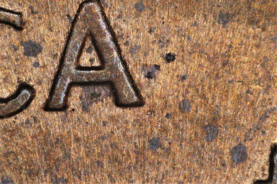 1989-d_1c_wrpm-017_9_.jpg 1989-d_1c_wrpm-017_9_.jpg