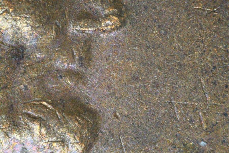 1975-d_1c_wrpm-004_final_5_.jpg 1975-d_1c_wrpm-004_final_5_.jpg