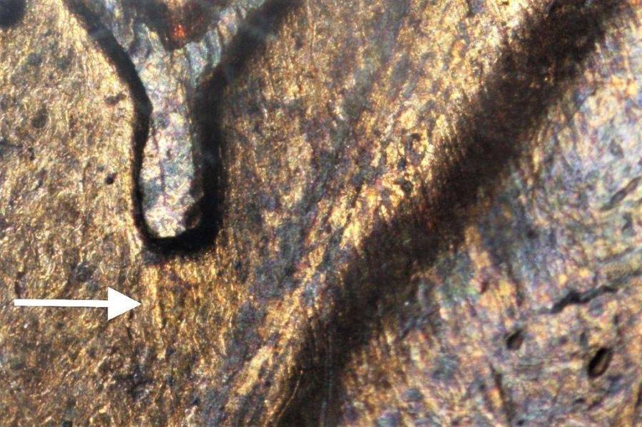 1974-s_1c_wrpm-001_6_.jpg 1974-s_1c_wrpm-001_6_.jpg