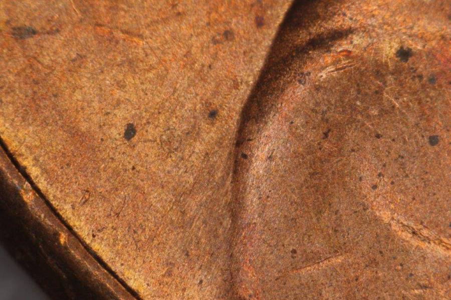 1989-d_1c_wrpm-011_0b_.jpg 1989-d_1c_wrpm-011_0b_.jpg