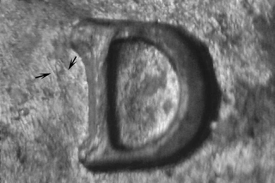 1988-d_wrpm-013_final_2_.jpg 1988-d_wrpm-013_final_2_.jpg