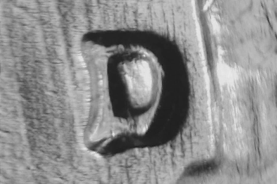 rd61dwrpm-009-01.jpg rd61dwrpm-009-01.jpg