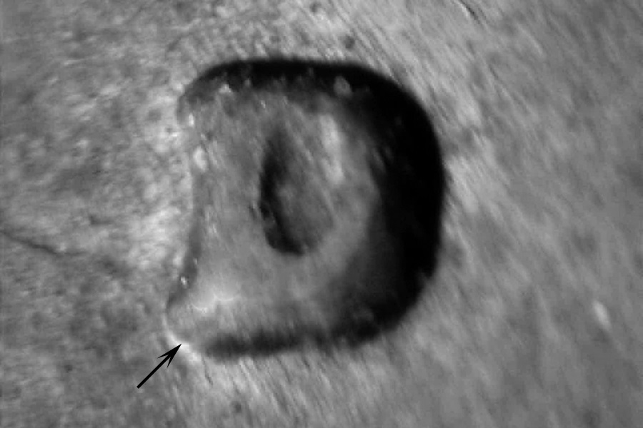 lc75dwrpm-002-01.jpg lc75dwrpm-002-01.jpg