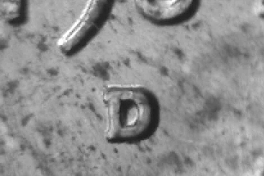 1984-d_1c_wrpm-001_2_.jpg 1984-d_1c_wrpm-001_2_.jpg