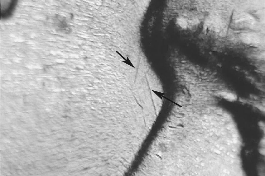 rd62dwrpm-007-04.jpg rd62dwrpm-007-04.jpg