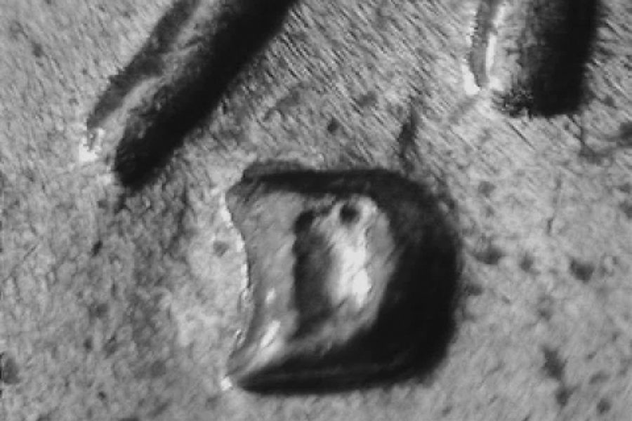 1973-d_1c_wrpm-003_3_.jpg 1973-d_1c_wrpm-003_3_.jpg