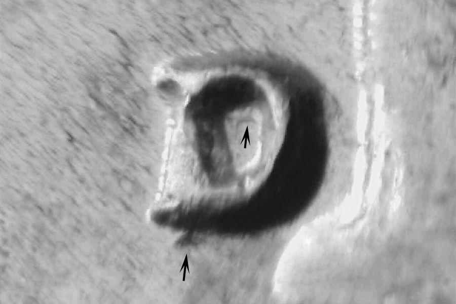 rd49dwrpm-006-01.jpg rd49dwrpm-006-01.jpg