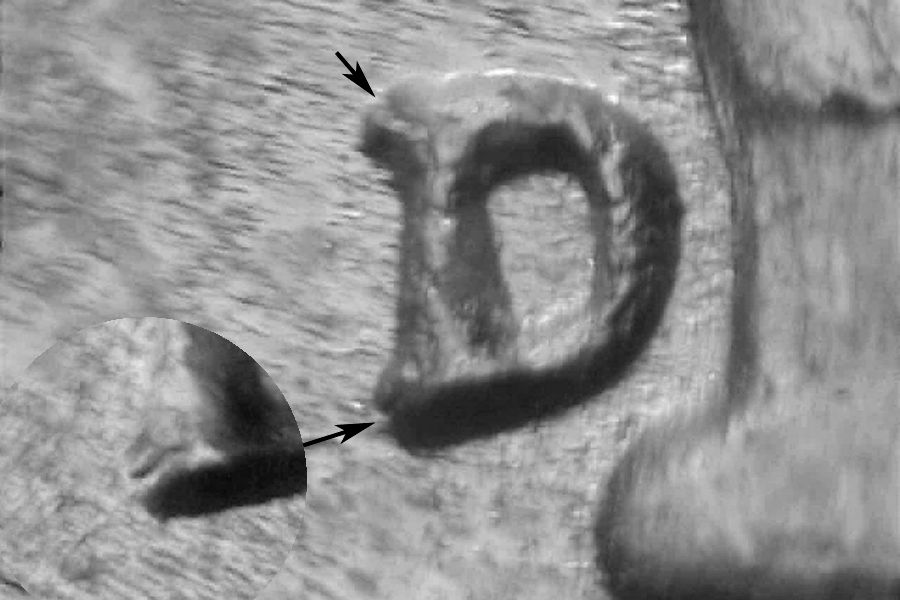 rd46dwrpm-022-01.jpg rd46dwrpm-022-01.jpg