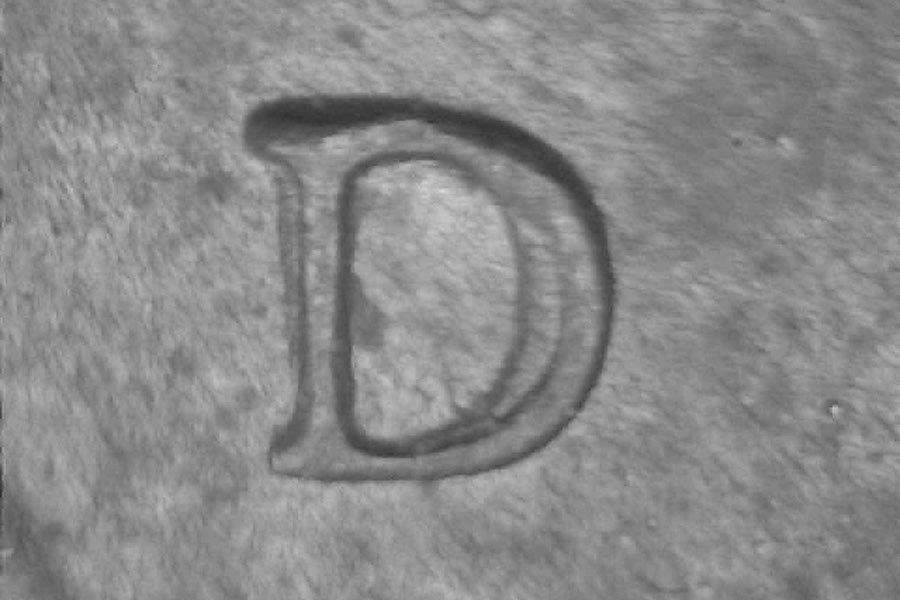 1988-d_wrpm-010_final_2_.jpg 1988-d_wrpm-010_final_2_.jpg