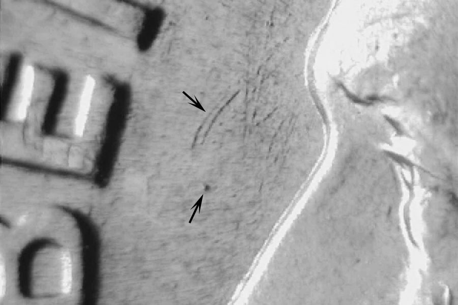 rd49dwrpm-006-05.jpg rd49dwrpm-006-05.jpg