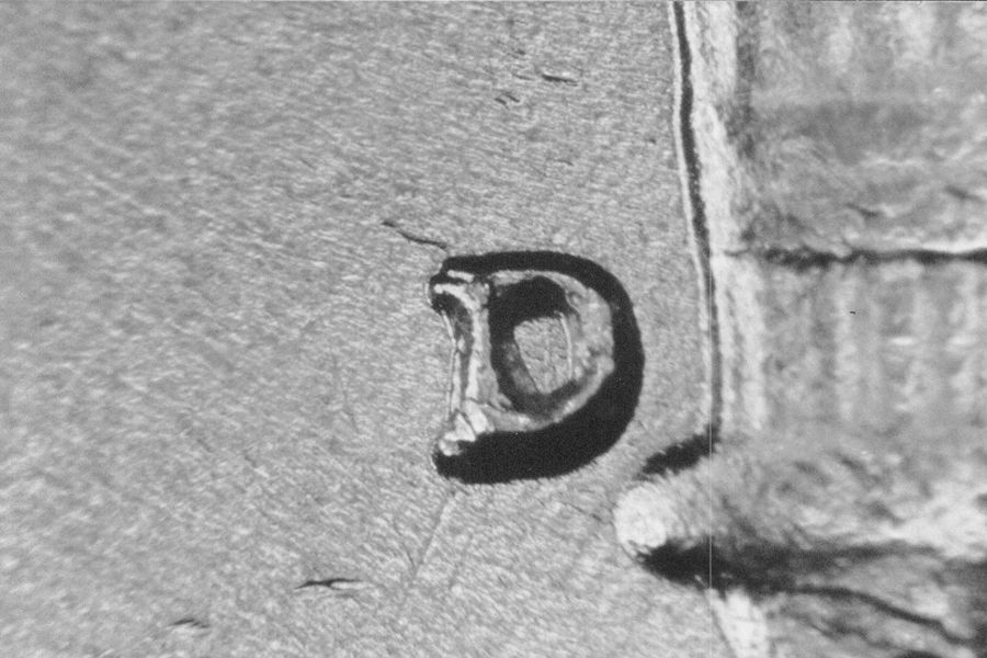 rd51dwrpm-003-01.jpg rd51dwrpm-003-01.jpg