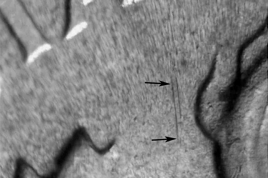 rd46dwrpm-022-03.jpg rd46dwrpm-022-03.jpg