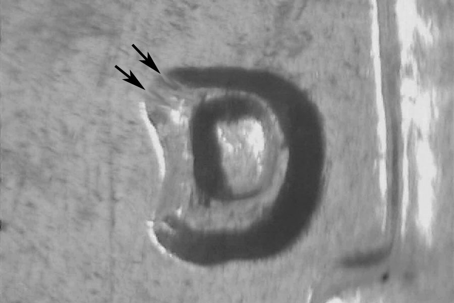 rd62dwrpm-008-01.jpg rd62dwrpm-008-01.jpg