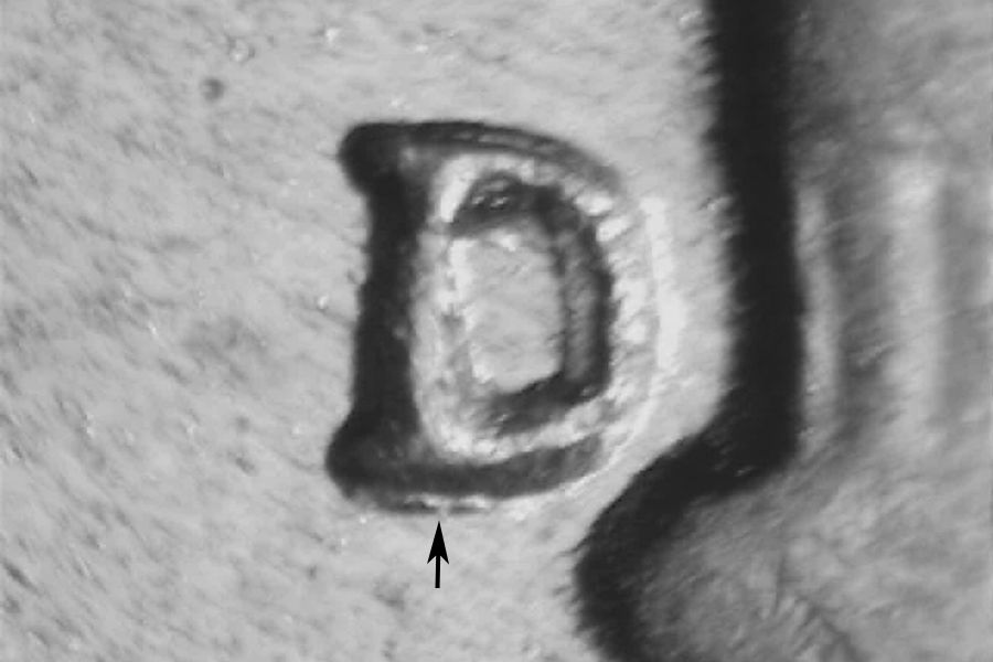 rd46dwrpm-023-01.jpg rd46dwrpm-023-01.jpg