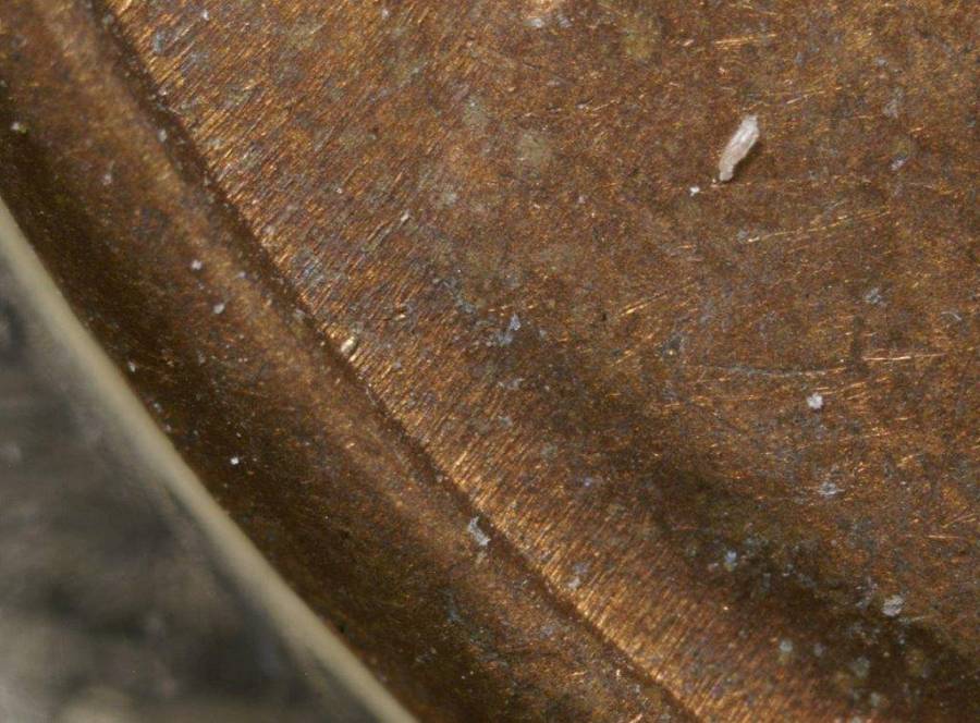 1975-d_1c_wrpm-003_2_.jpg 1975-d_1c_wrpm-003_2_.jpg