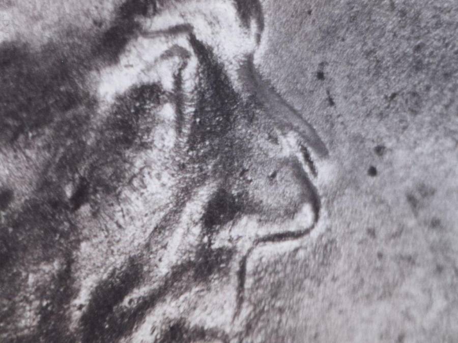 1988-d_wrpm-003_final_3_.jpg 1988-d_wrpm-003_final_3_.jpg